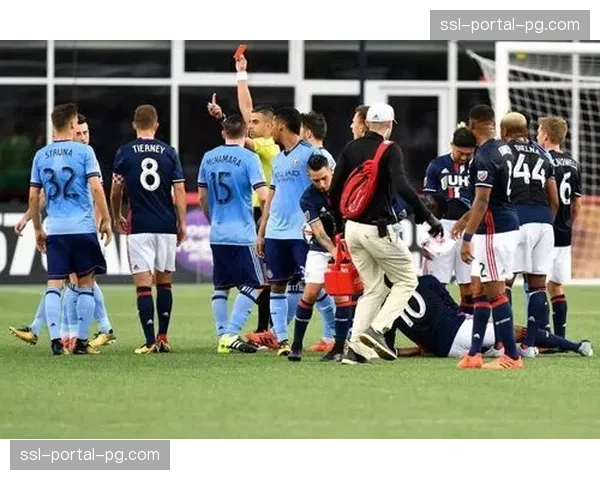 欧足联指定球门线技术供应商 Hawk-Eye 完成对法甲全部球场设备的季末巡检